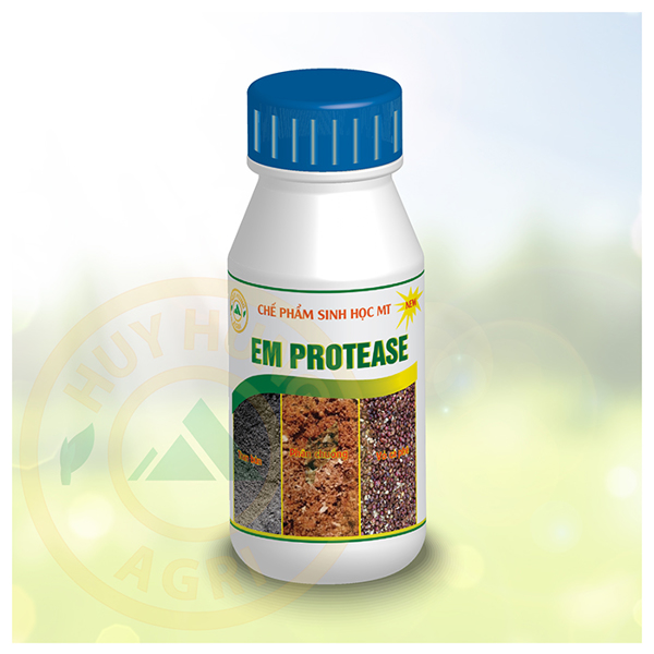Chế phẩm sinh học MT E.M Protease